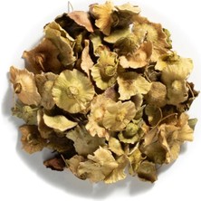 Medite Organik Ürünler Karaçalı Dikeni Çayı 1 kg