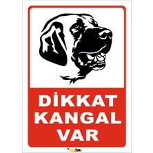 Vizyon Trafik Dikkat Kangal Var