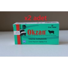 Ceva Okzan 10 Tablet X4 Kutu