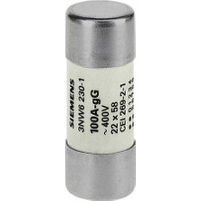Siemens 3NW6230-1 22X58MM 100A Silindirik Sigorta