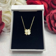 Zirkon Taşlı Dört Yapraklı Yonca Kadın Kolyesi 925 Ayar Gümüş Zincirli Altın Kaplama