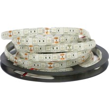 12 Volt 5050 Dış Mekan Şerit LED 3 Çipli Mavi Metrede 60 LED IP65 (5 Metre)