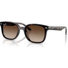 Ray-Ban Güneş Gözlüğü RB4461D 64 710/13