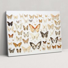 Popcas Kurutulmuş Kelebekler Fotoğraf Gerçekçi Koleksiyon Kanvas Duvar Dekorasyonu - Kelebek Duvar Sanatı Duvar Dekoru