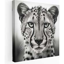 Popcas Çita Kanvas Tablo - Siyah Beyaz Fotoğraf Duvar Sanatı