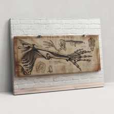 Popcas Leonardo Da Vinci Anatomik Detaylı Kanvas Tablo - Duvar Sanatı ve Dekorasyon