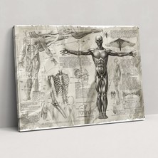 Popcas Leonardo Da Vinci Anatomik Kanvas Tablo - Leonardo Da Vinci Kanvas Duvar Dekorasyonu