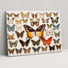 Popcas Kurutulmuş Kelebekler Fotoğraf Gerçekçi Koleksiyon Kanvas Duvar Sanatı Baskısı - Sanatsal Ev Dekoru Ev Dekorasyonu Kanvas Baskı