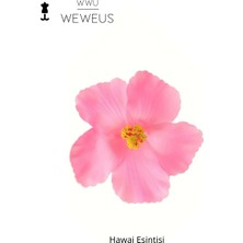Weweus Kadın Hawai Stili Pembe Çiçek Premium Toka