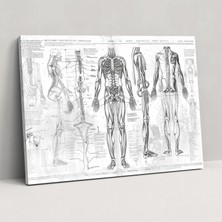 Popcas Leonardo Da Vinci Kanvas Tablo - Leonardo Da Vinci Kanvas Duvar Sanatı