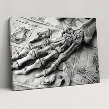 Popcas Leonardo Da Vinci Anatomisi Duvar Sanatı - Ev Dekorasyonu Kanvas Tablo