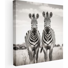 Popcas Zebra Kanvas Tablo - Siyah Beyaz Fotoğraf - Ev Dekorasyonu ve Duvar Sanatı