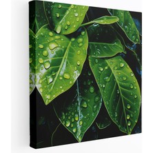 Popcas Yağmur Damlaları Yapraklar Duvar Sanatı - Yağmur Ev Dekorasyonu Kanvas Tablo Yağmur Damlaları