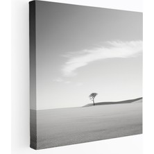 Popcas Dünyanın En Güzel Manzaraları - Yalnız Ağaç Kanvas Tablo - Çöl Manzarası Minimalist Fotoğraf - Dünyanın En Güzel Manzaraları