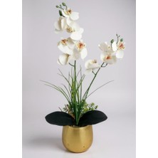 Yapay Çiçek Beyaz Islak Orkide Gold Metal Saksıda Saksıda Orkide 50CM