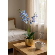 Yapay Çiçek Mavi Islak Orkide Gold Metal Saksıda Saksıda Orkide 50CM