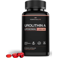 Perpetua.lıfe  Urolithin-A Liposomal, 1000MG, 60 Vegan Capsules