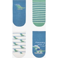 Erkek Çocuk Dino Farm Dinozor Desenli 4'lü Soket Çorap