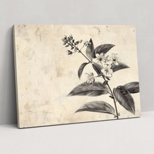 Popcas Botanik Temalı Leonardo Da Vinci Stili Kanvas Tablo - Ev Dekorasyonu Duvar Sanatı