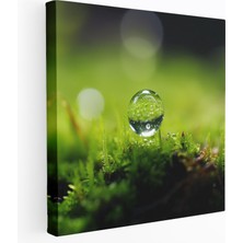 Popcas Yosun Duvar Dekorasyonu - Minimalist Fotoğraf Kanvas Tablo - Yosun Görsel Olarak Etkileyici Kanvas Ev Dekorasyonu Duvar Sanatı