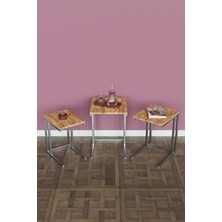 3'lü C Model Zigon Sehpa Gümüş Metal