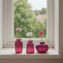 Homing Cam Mor Vazo Çiçeklik Seti 242228