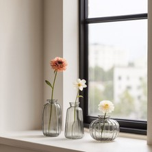 Homing Cam Şeffaf Vazo Seti 242230