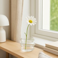 Homing Fendy Cam Mini Vazo Çiçeklik 242236