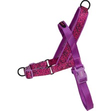 Lords Of Zee.town Brain Softer Walk Göğüs Tasması - Zee.dog