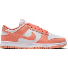 Nike Dunk Low Next Nature DD1873-109