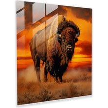 Popcas Huzurlu Günbatımı Bufalo Cam Tablo - Bufalo Cam Duvar Sanatı Günbatımı Modern Sanat
