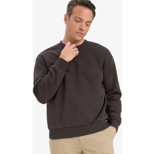 DeFacto Relax Fit Bisiklet Yaka Kalın İçi Yumuşak Tüylü Basic Düz Sweatshirt T5139AZ25AU