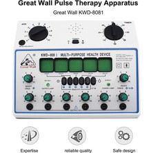 KWD-808I Elektrikli Akupunktur Makinesi Çok Amaçlı Akupunktur Uyarıcı Cihazı