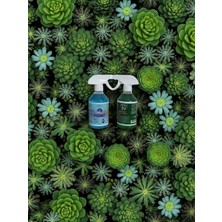 Bitkitürk-Kaktüs Sukulent Bitki Besini ve Permet Mantar Önleme Zararlı Mücadele Seti