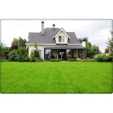 Kurak ve Susuz Alanlar Için Bermuda Çimi Tohumu, 1 Kg, Doğal Yeşil Alanlar Için Ideal