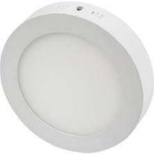 30W Yuvarlak Sıva Üstü LED Panel Günışığı Metal Kasa