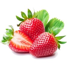 60 Adet Osmanlı Çilek Fidanı Açık Kök Taze Söküm, Sağlıklı ve Bereketli Meyve Verir