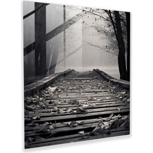 Popcas Dökülen Yapraklar Cam Tablo - Yapraklar Cam Duvar Sanatı Duvar Dekorasyonu Minimalist