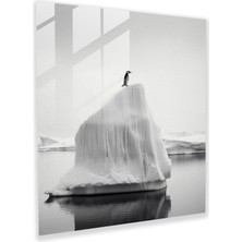 Popcas Penguen Cam Tablo - Minimalist Siyah Beyaz Fotoğrafçılık Duvar Dekorasyonu - Penguen Ev Dekorasyonu Yalnız Penguen