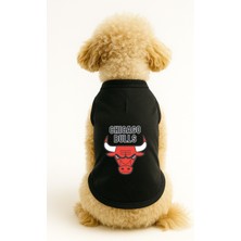 Kedi ve Köpek Kıyafeti & Elbisesi - Siyah Chicago Bulls Atlet