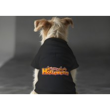 Kedi ve Köpek Kıyafeti & Elbisesi - Siyah Sweatshirt Hallowen