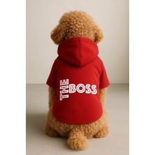 Kapişonlu Sweatshirt Köpek ve Kedi Kıyafeti - Kırmızı The Boss