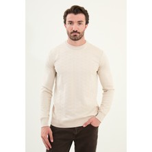 Desenli Slim Fit Bisiklet Yaka Erkek Triko Kazak