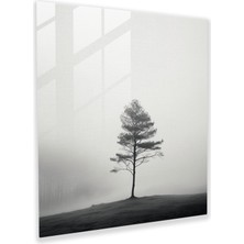 Popcas Gri Sisli Orman Cam Tablo - Gri Cam Duvar Sanatı Duvar Dekorasyonu Cam Sanatı