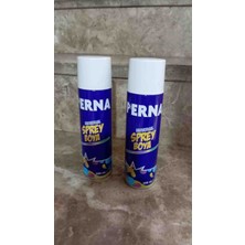 Vizyon Çiçek Sprey Boya  2 Adet