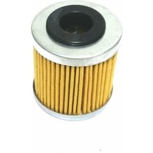 Yağ Filtresi Rks Rz 250 S / Beverly S 400