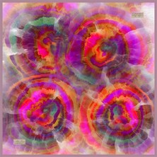 03 La Boutique Güz Eşarp 2431