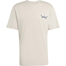 adidas Erkek  Bej  T-shirt GRAPHIC LO SS T JX8157