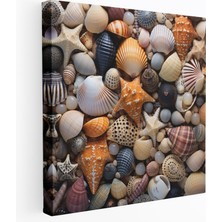 Popcas Deniz Kabukları Yakın Çekim Kanvas Tablo - Plaj Güzellik Duvar Dekorasyonu Deniz Kabukları