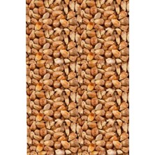 Soslu Mısır Kavurgası